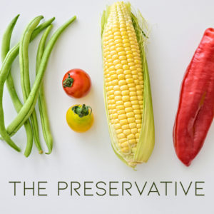 The Preservative - MP3