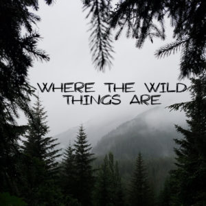 Where The Wild Things Are (2 Message Set) - MP3